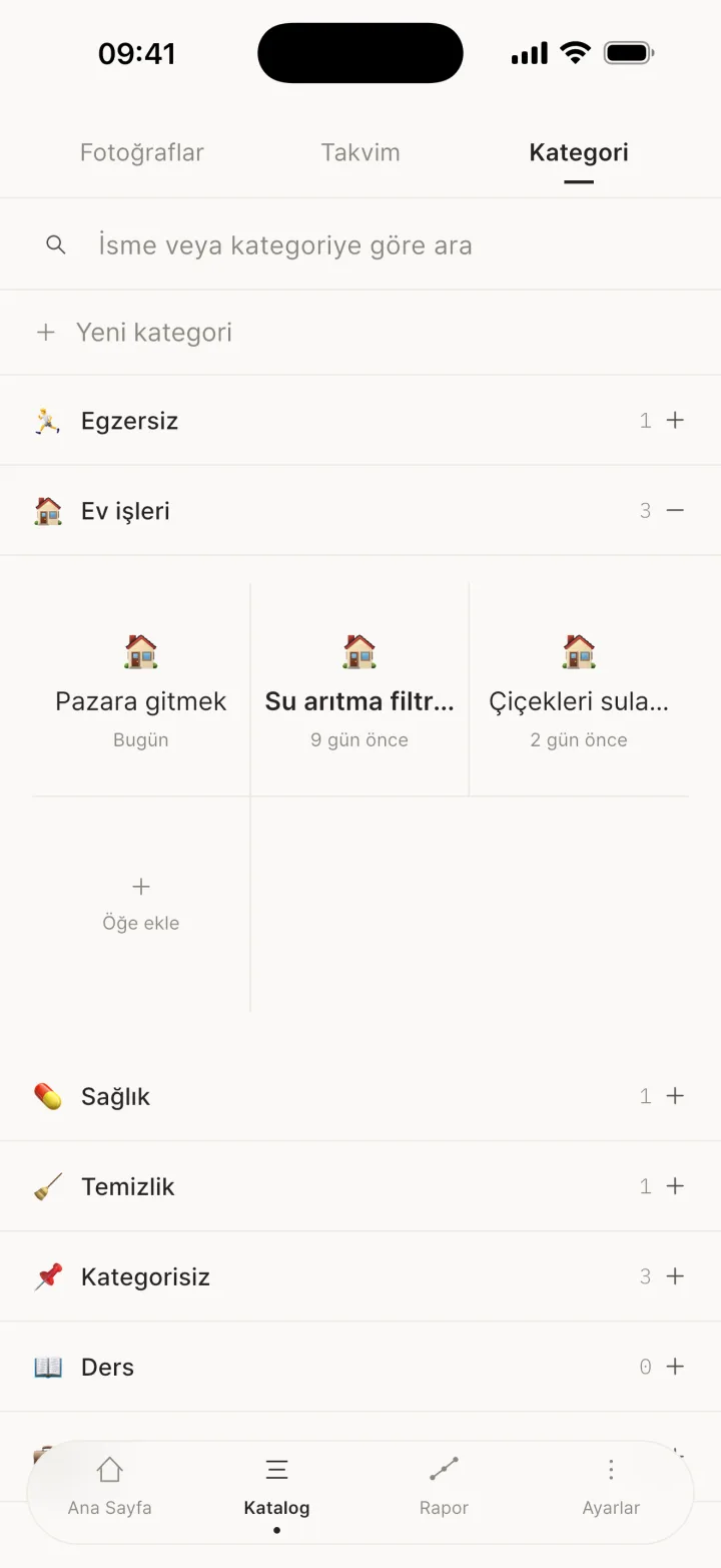 Kategori grubu
