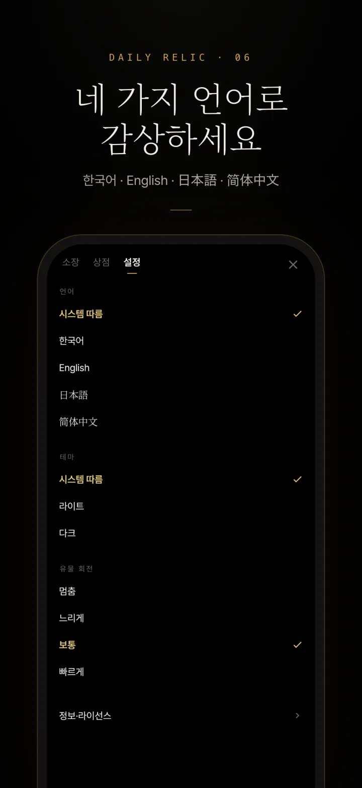 Daily Relic 설정 화면 — 언어와 테마 선택
