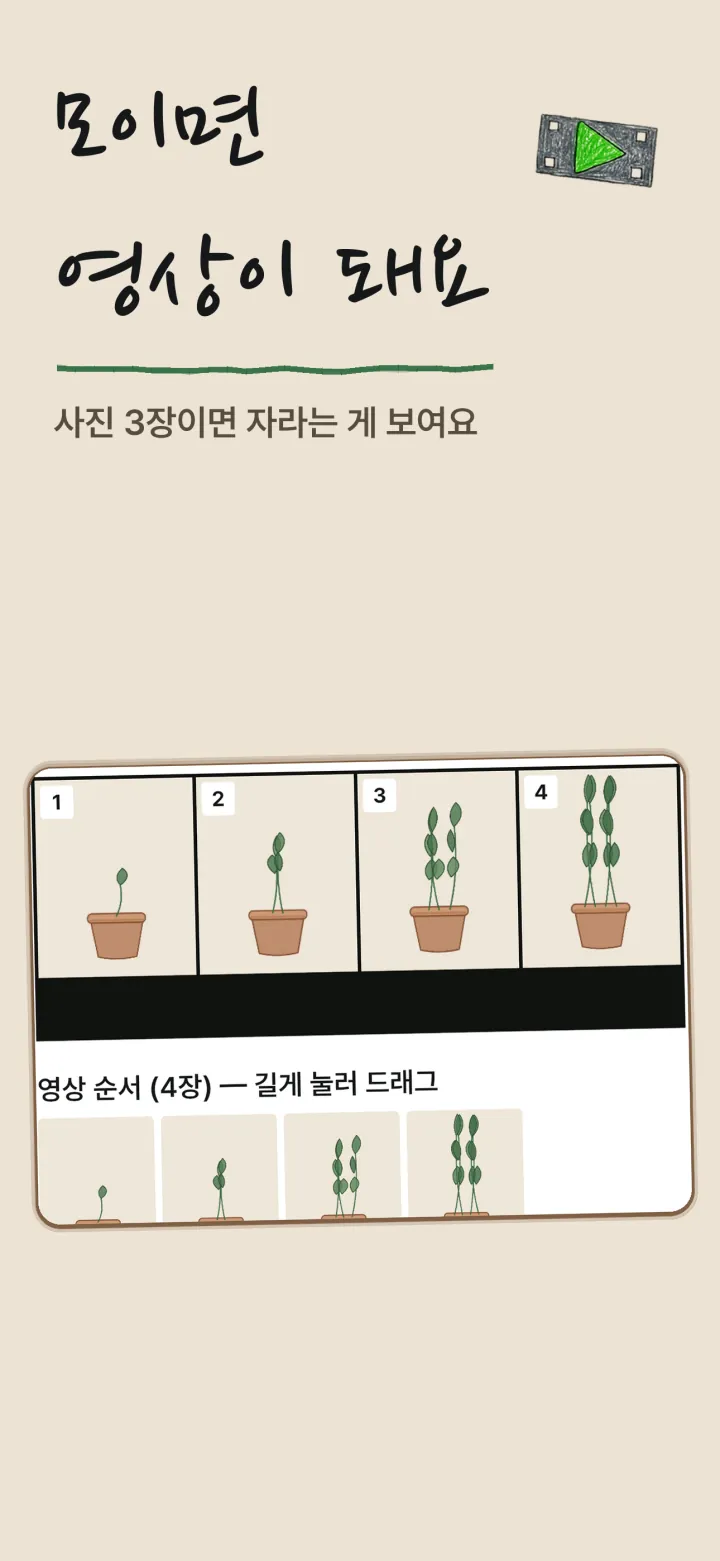 무럭무럭 성장 영상 화면 — 자란 순서대로 사진이 이어진다
