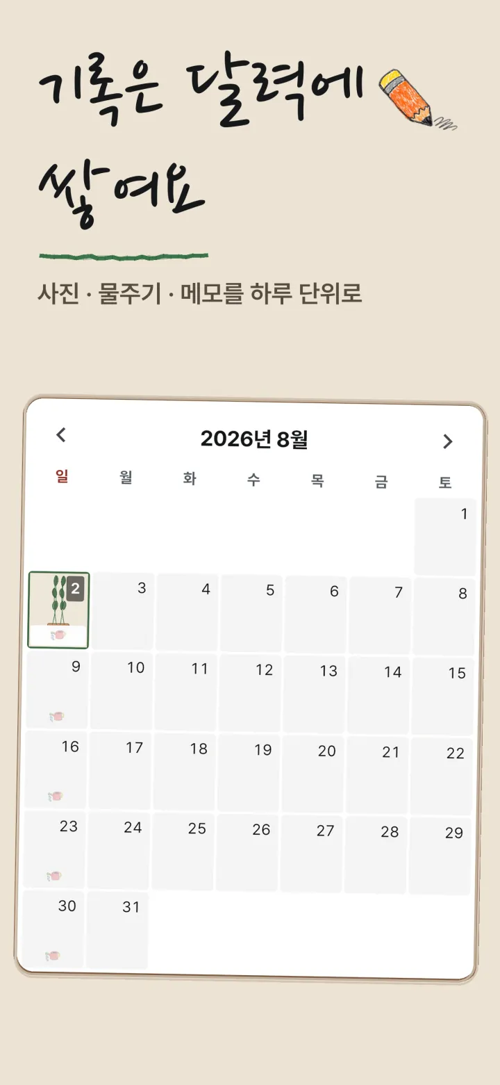 무럭무럭 달력 화면 — 물주기와 사진 기록이 날짜별로 쌓인다